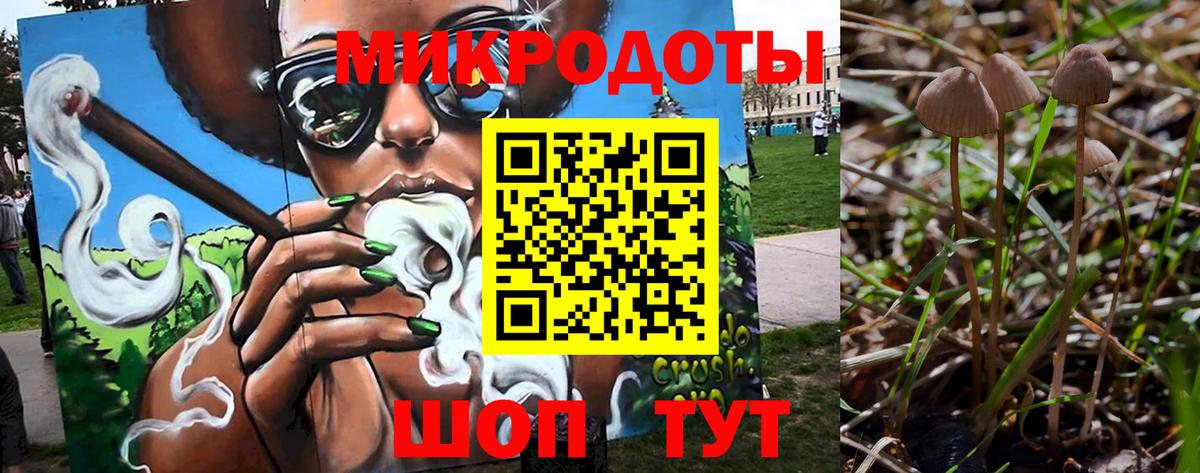 Галлюциногенные грибы мухоморы Выкса