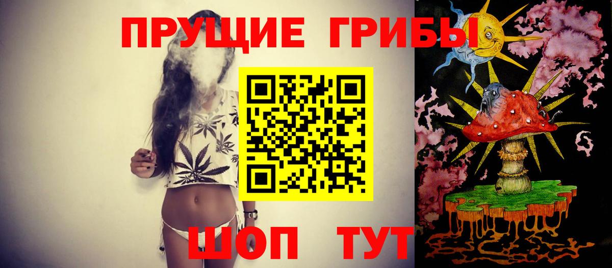 Галлюциногенные грибы Psilocybine cubensis  Галлюциногенные грибы мухоморы  Вход с VPN  Выкса 